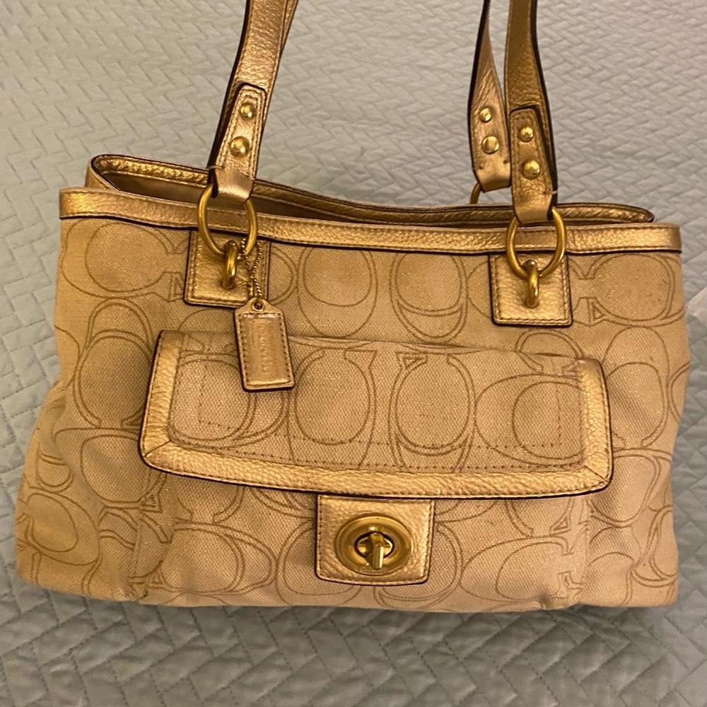 Coach Bag Authentic